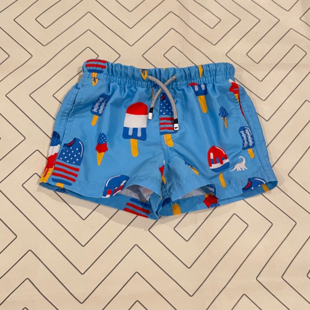 Surfcuz Patriotic Popsicle Swim Trunks